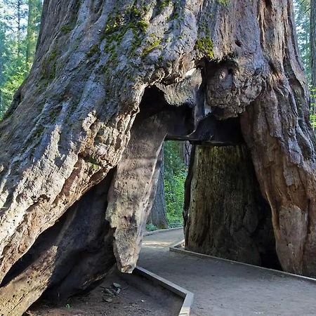 Lakeside Bls Retreat Near Big Trees & Bear Valley Vila Arnold Exterior foto