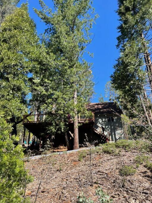 Lakeside Bls Retreat Near Big Trees & Bear Valley Vila Arnold Exterior foto